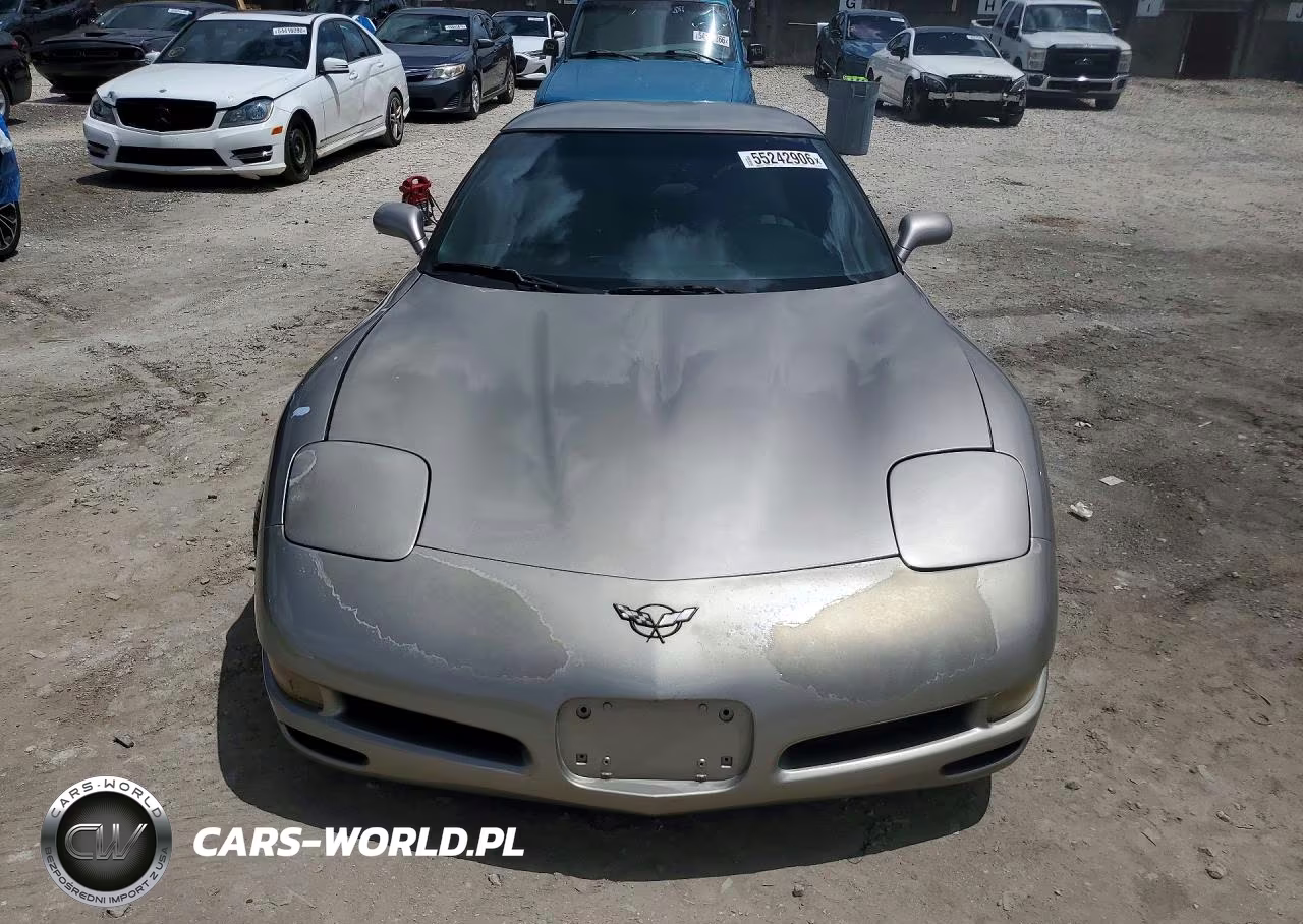 1999 Chevrolet Corvette VIN:1G1YY22G9X5109449 - 5
