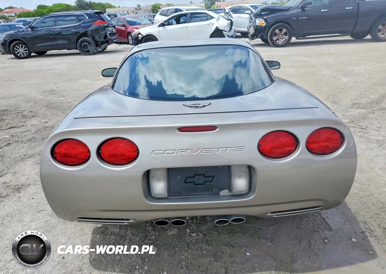 1999 Chevrolet Corvette VIN:1G1YY22G9X5109449 - 6