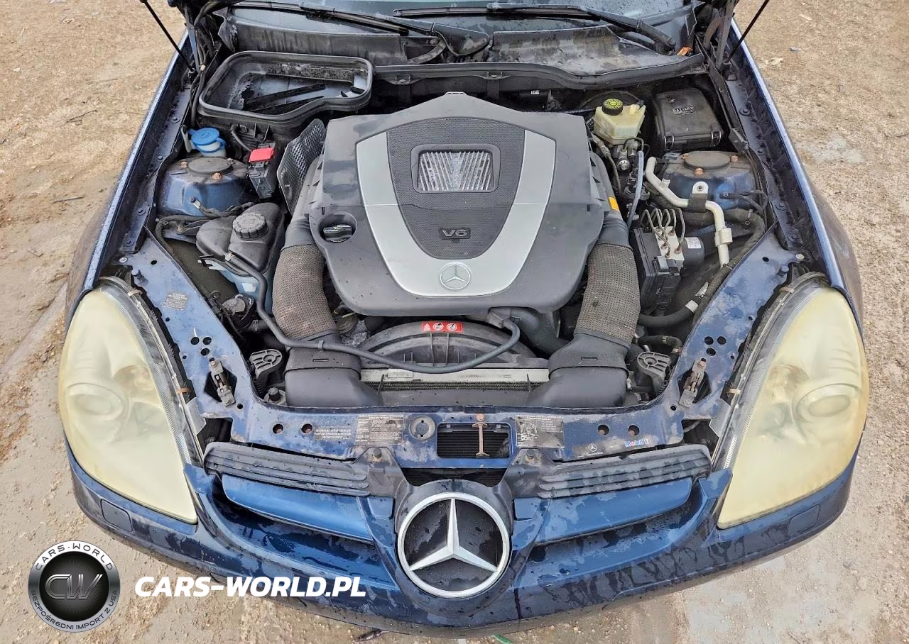 2005 Mercedes-Benz Slk 350 VIN:WDBWK56F95F052078 - 11