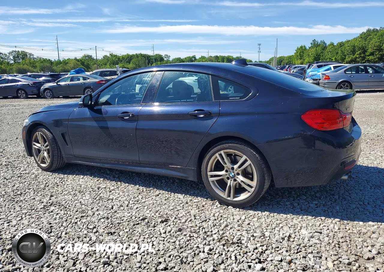 2016 BMW 428 Xi Gran Coupe Sulev VIN:WBA4C9C55GG135848 - 2