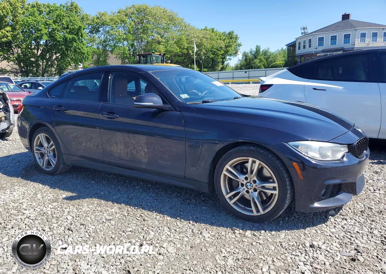 2016 BMW 428 Xi Gran Coupe Sulev VIN:WBA4C9C55GG135848 - 4