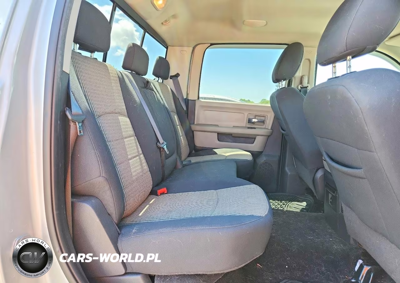 2010 Dodge Ram 1500 VIN:1D7RV1CTXAS152822 - 10