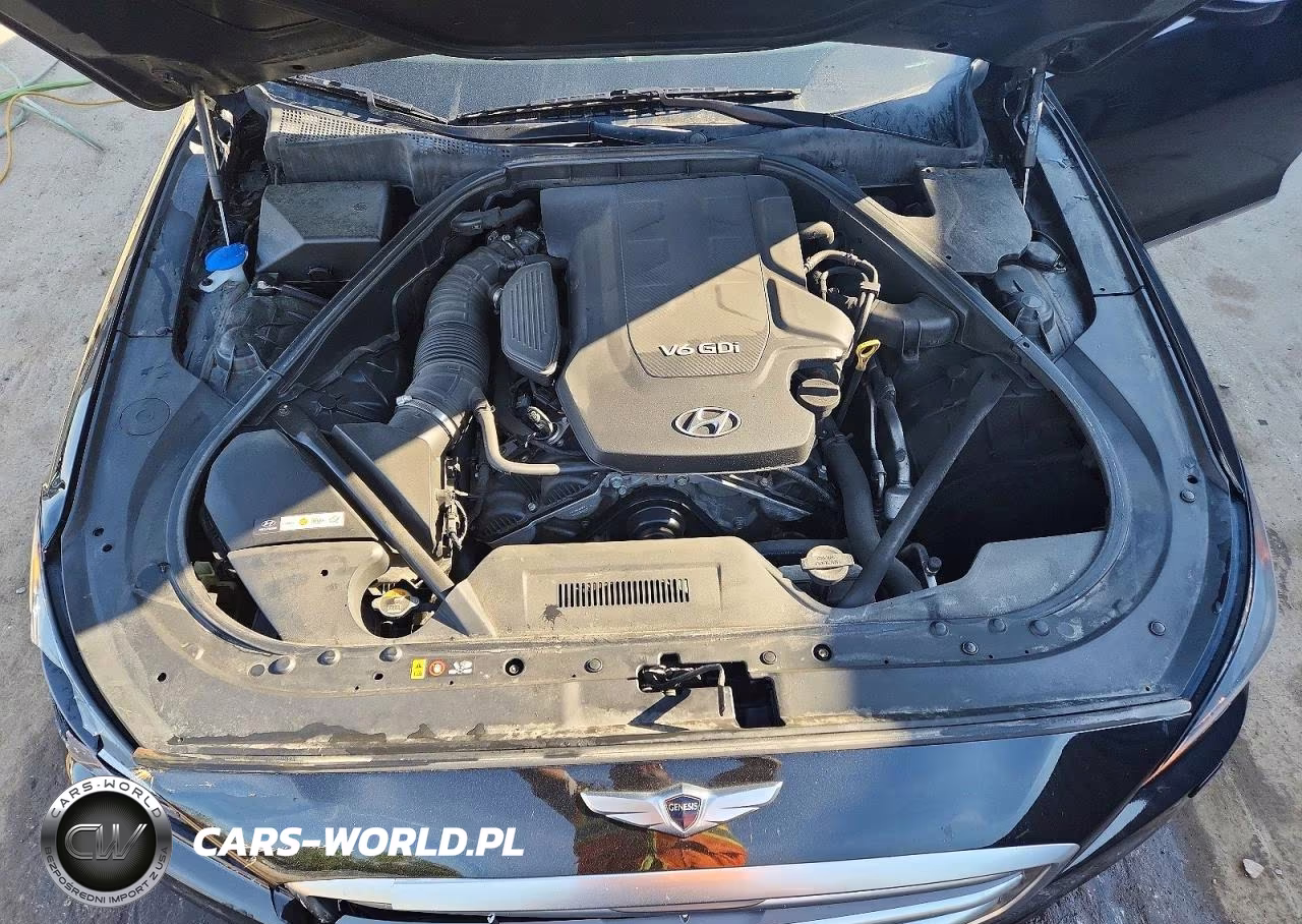 2015 Hyundai Genesis 3.8L VIN:KMHGN4JE0FU071763 - 11