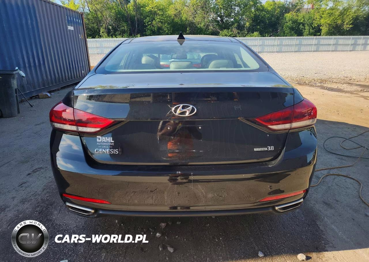 2015 Hyundai Genesis 3.8L VIN:KMHGN4JE0FU071763 - 6