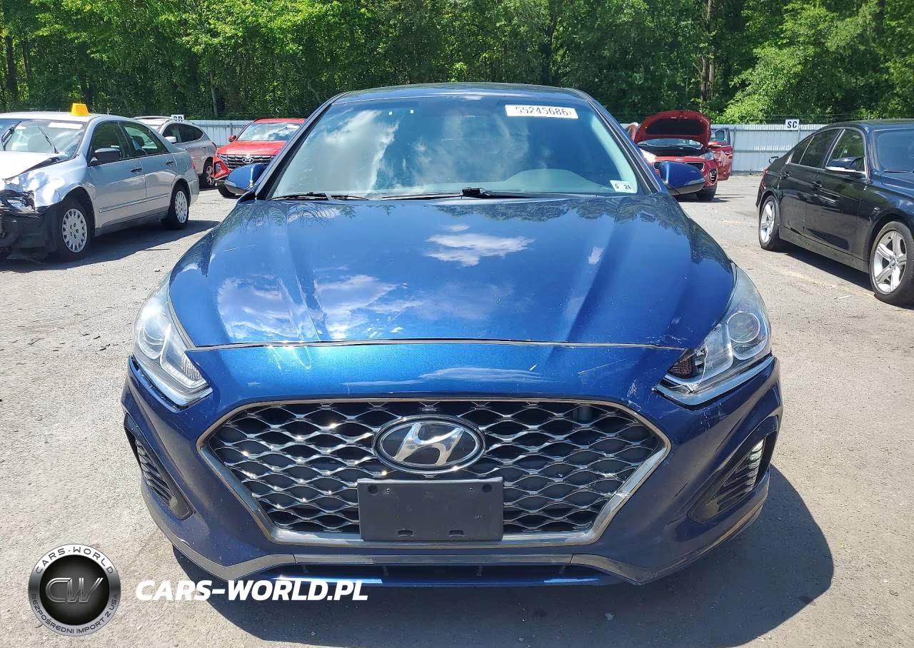 2019 Hyundai Sonata Sel VIN:5NPE34AF5KH816960 - 5