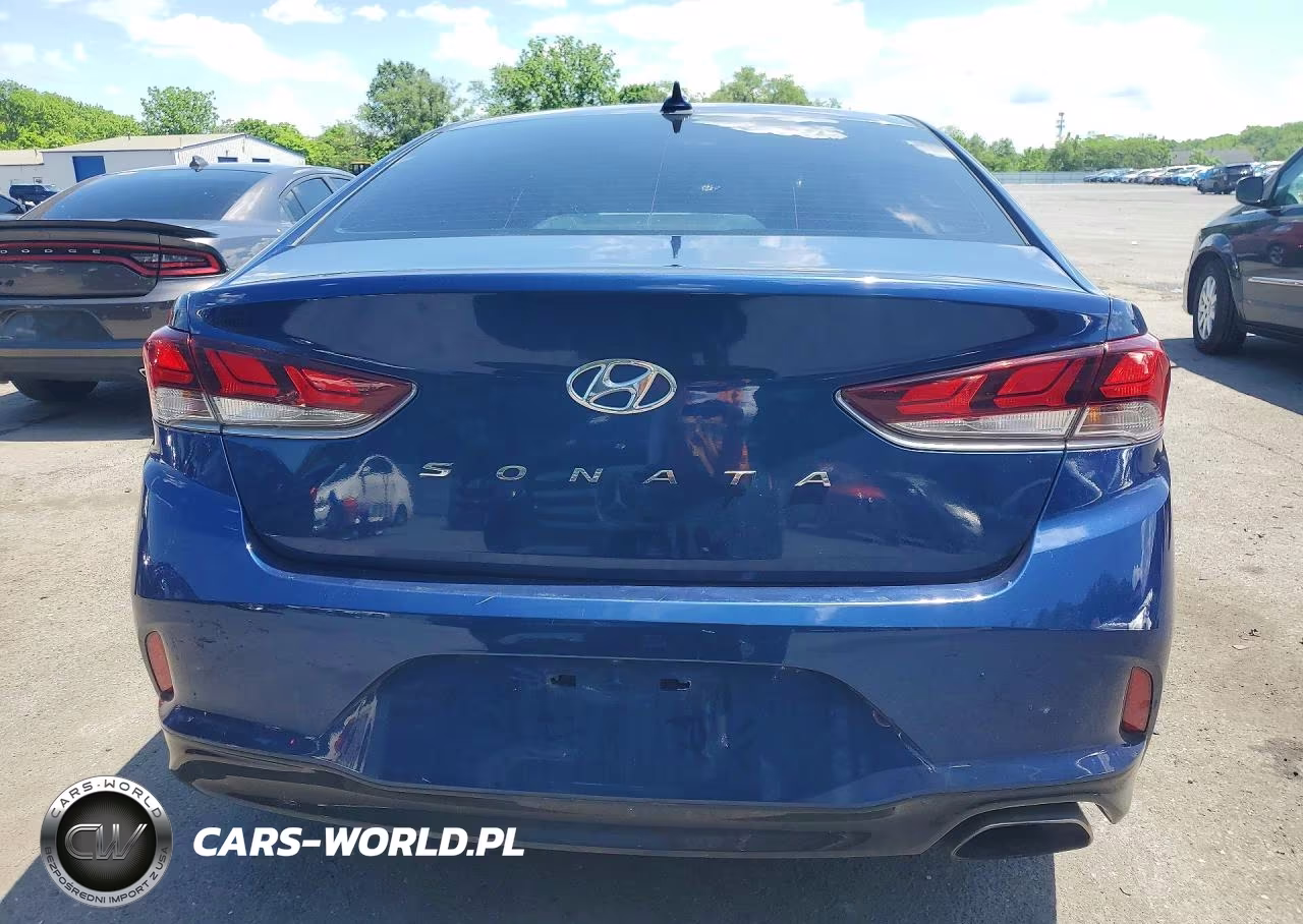 2019 Hyundai Sonata Sel VIN:5NPE34AF5KH816960 - 6