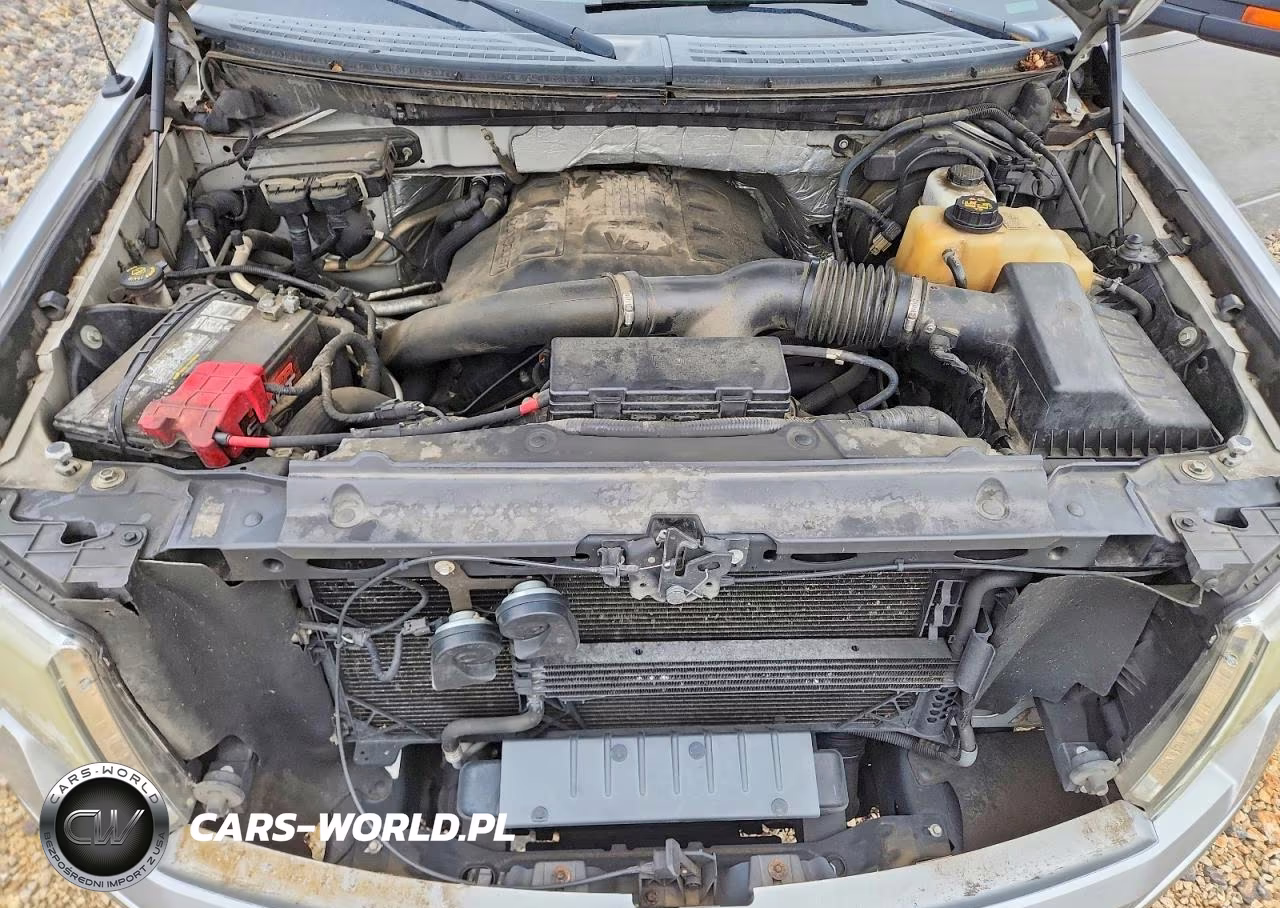 2011 Ford F150 Supercrew VIN:1FTFW1ET8BKE02339 - 11