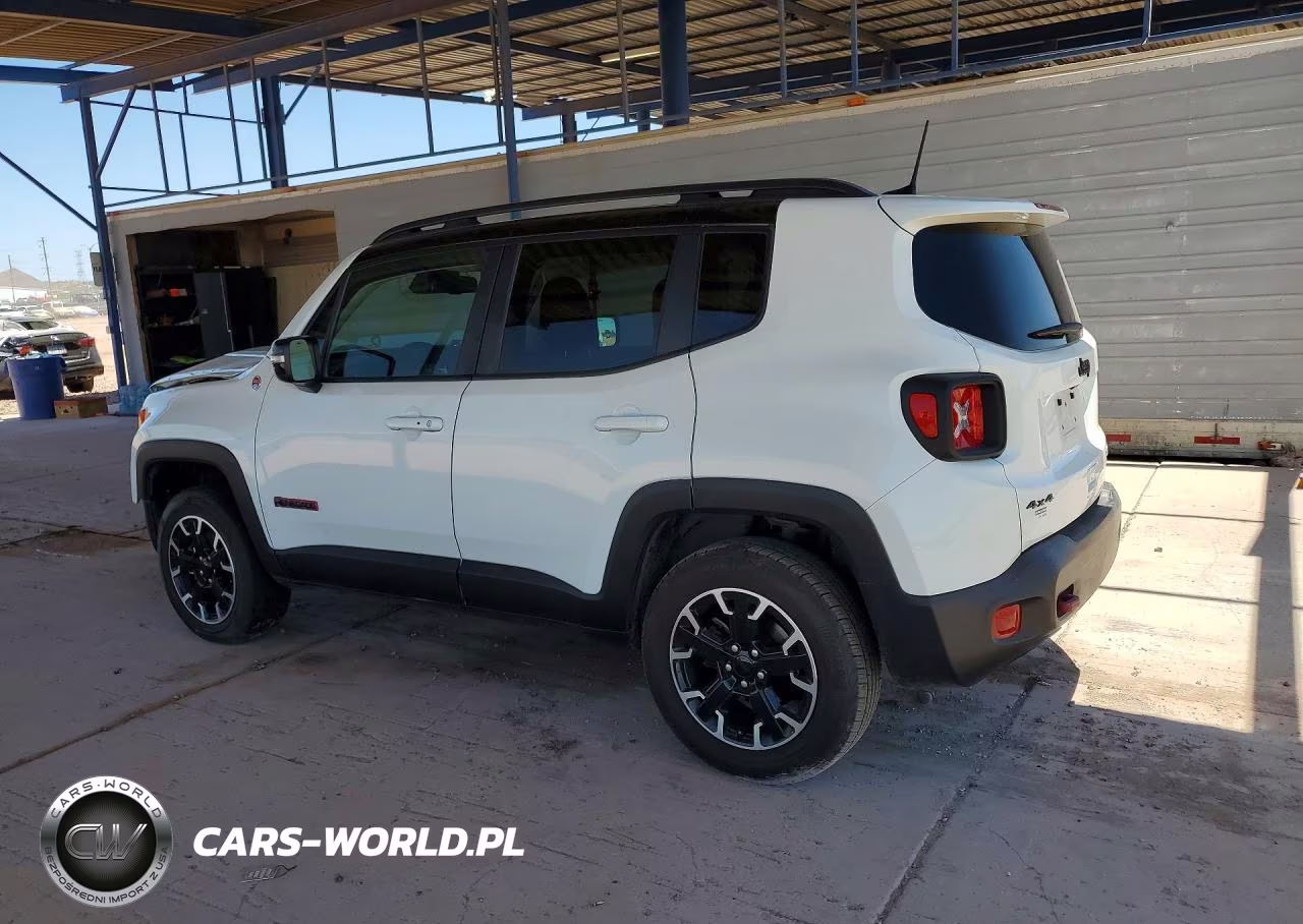 2023 Jeep Renegade Trailhawk VIN:ZACNJDC16PPP67951 - 2