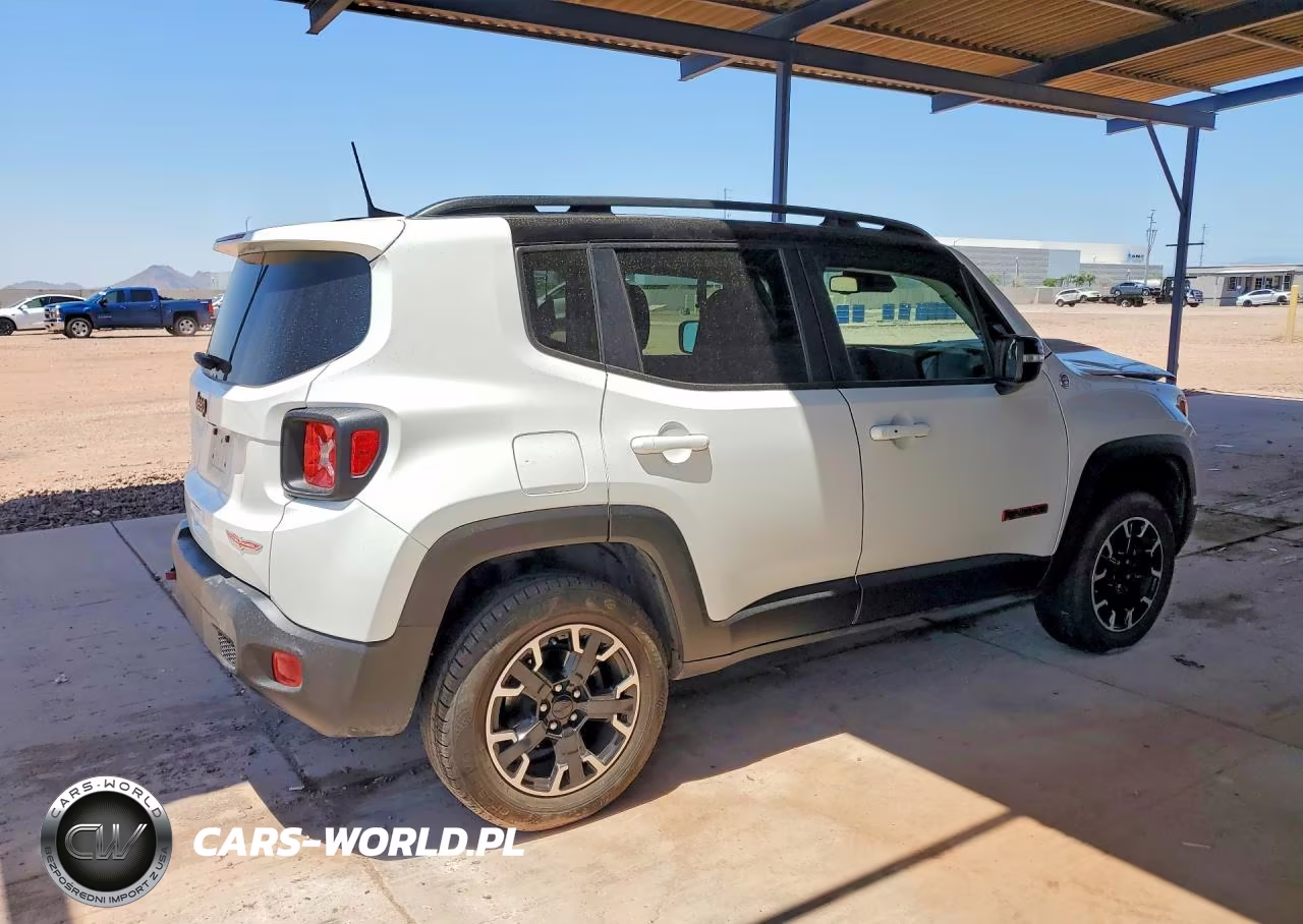 2023 Jeep Renegade Trailhawk VIN:ZACNJDC16PPP67951 - 3