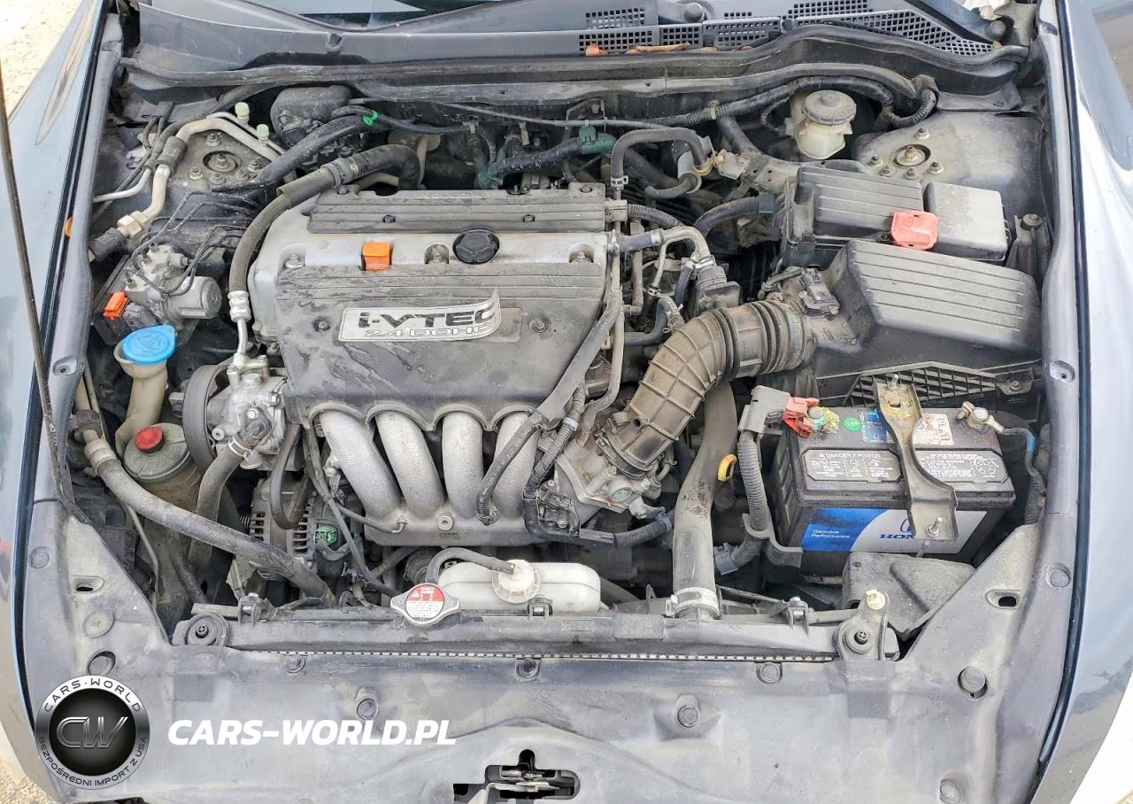 2007 Honda Accord Ex VIN:1HGCM56817A161605 - 11