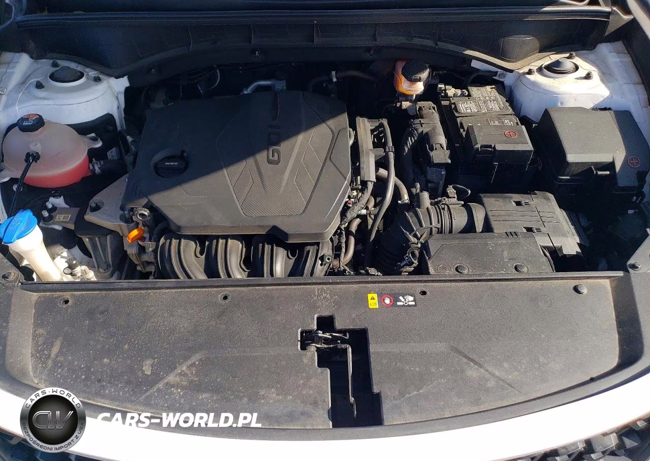 2022 Kia Sorento Lx VIN:5XYRG4LC6NG162619 - 12