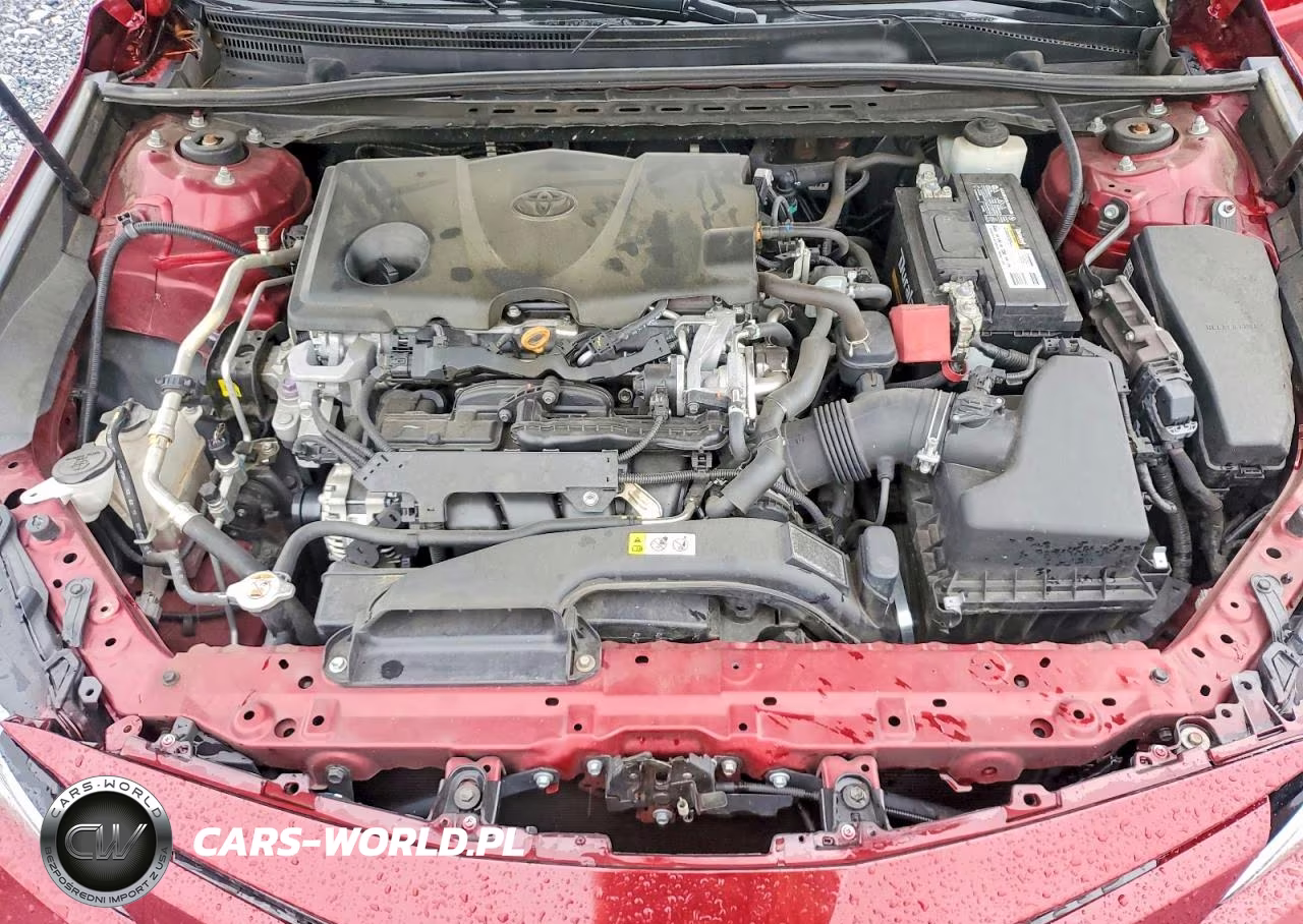2019 Toyota Camry Le VIN:4T1B11HK1KU852978 - 11