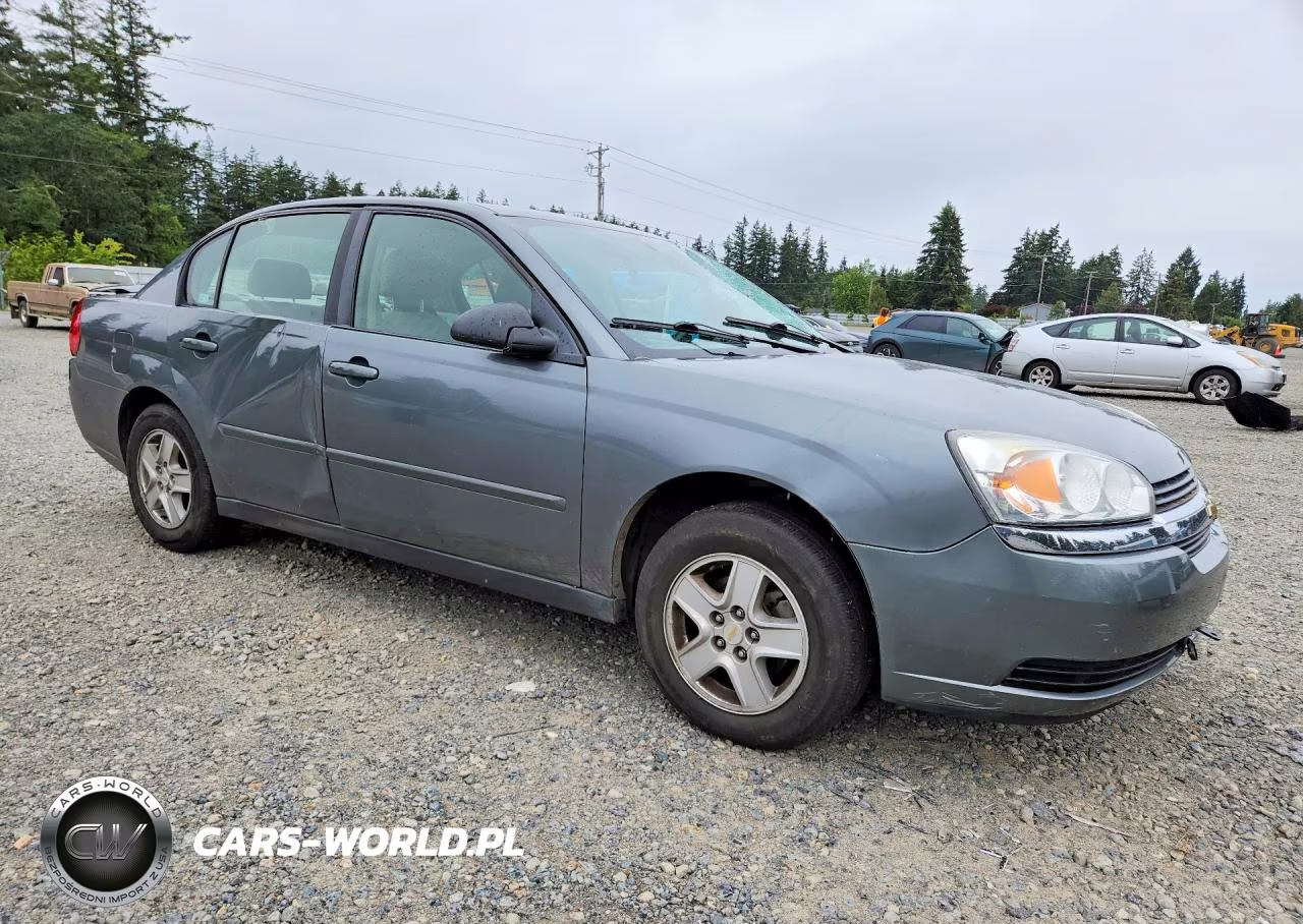 2005 Chevrolet Malibu Ls VIN:1G1ZT52895F280335 - 4