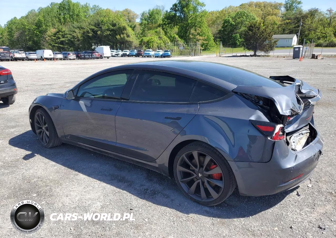 2020 MODEL 3 MODEL 3  VIN:5YJ3E1EC1LF713406 - 2