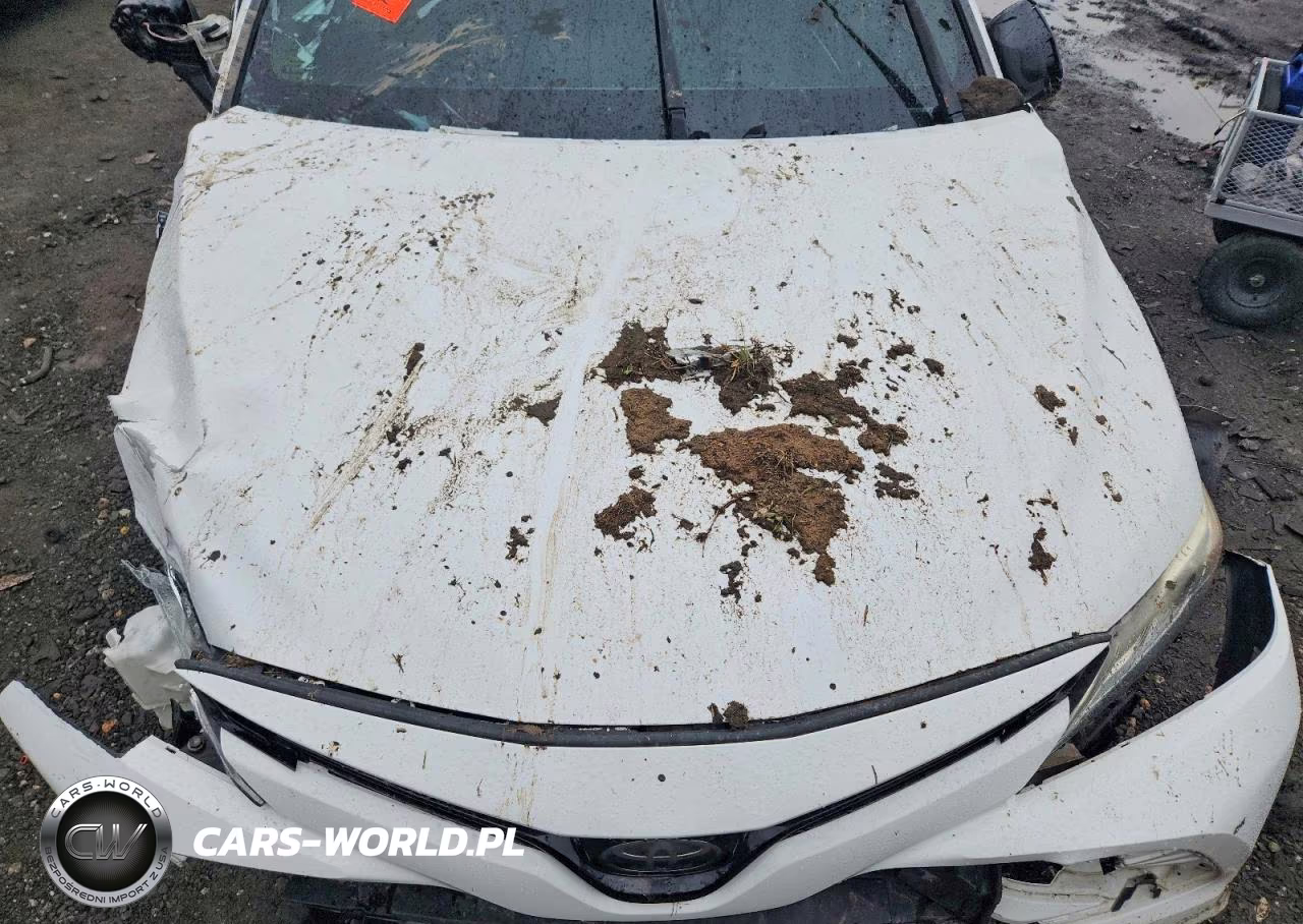 2019 Toyota Camry Xle VIN:4T1B11HK9KU767791 - 11