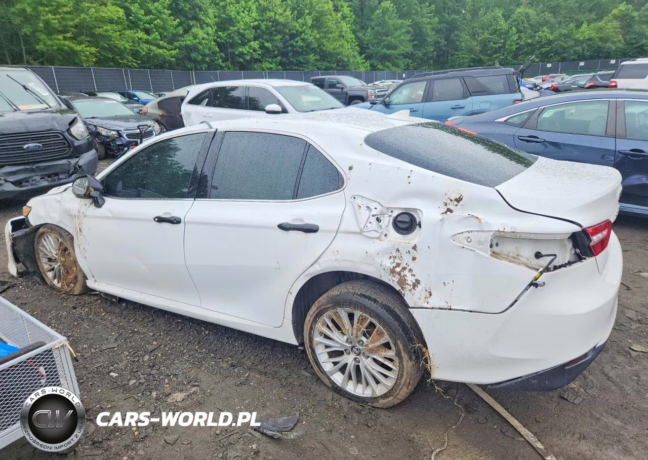 2019 Toyota Camry Xle VIN:4T1B11HK9KU767791 - 2