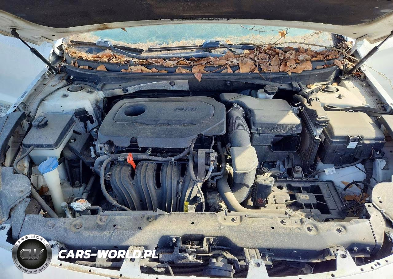 2017 Hyundai Sonata Se VIN:5NPE24AF7HH505767 - 11
