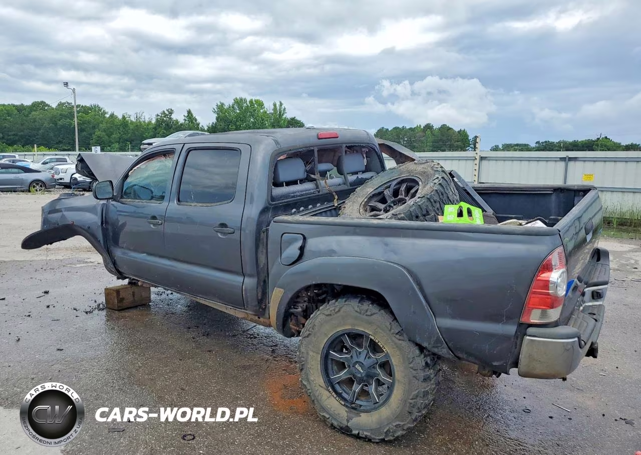 2010 Toyota Tacoma Double Cab VIN:5TELU4ENXAZ707055 - 2