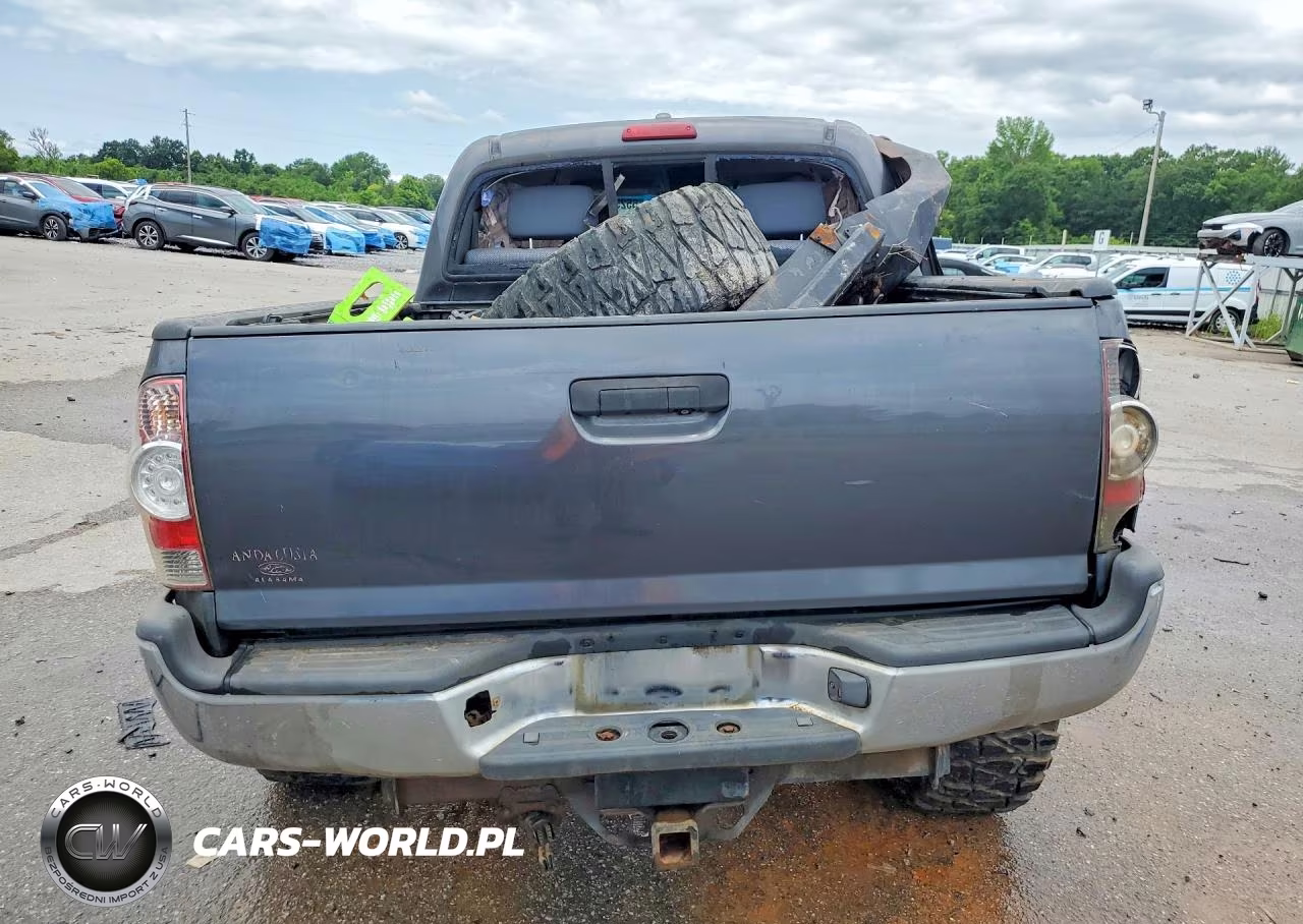 2010 Toyota Tacoma Double Cab VIN:5TELU4ENXAZ707055 - 6