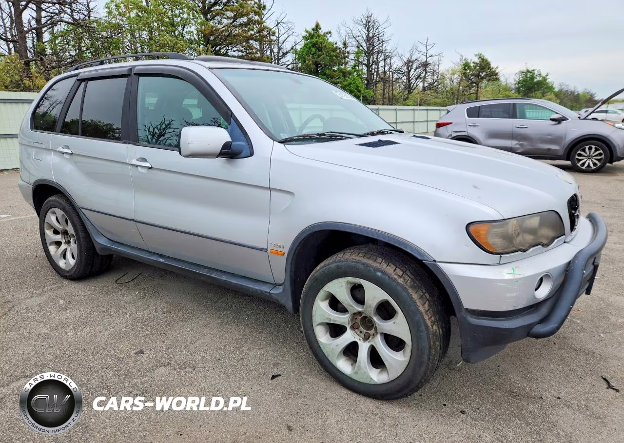 2002 BMW X5 3.0I VIN:5UXFA53572LP55447 - 3
