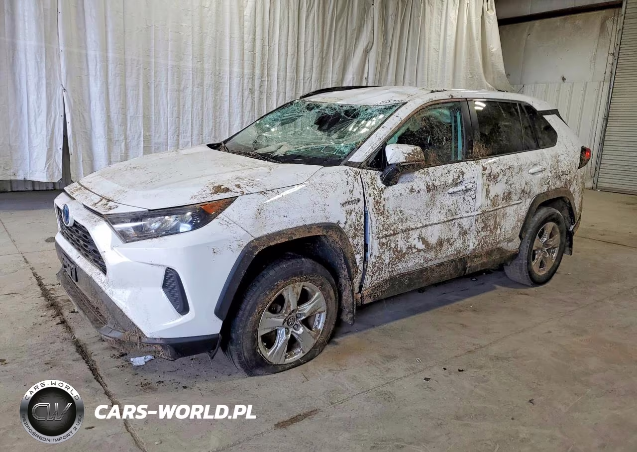 2019 Toyota Rav4 Le – zdjęcie 1 z 14