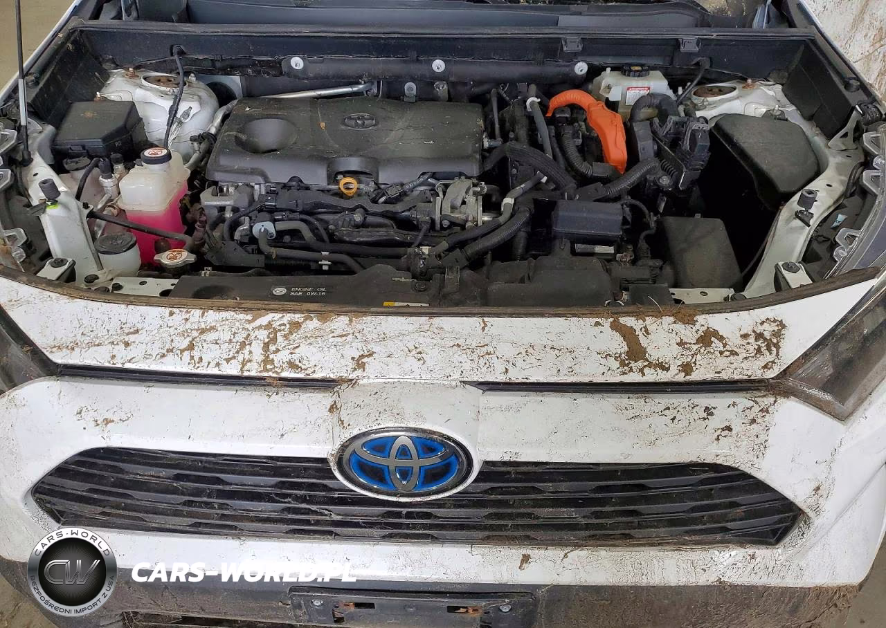 2019 Toyota Rav4 Le VIN:2T3MWRFV0KW029357 - 12