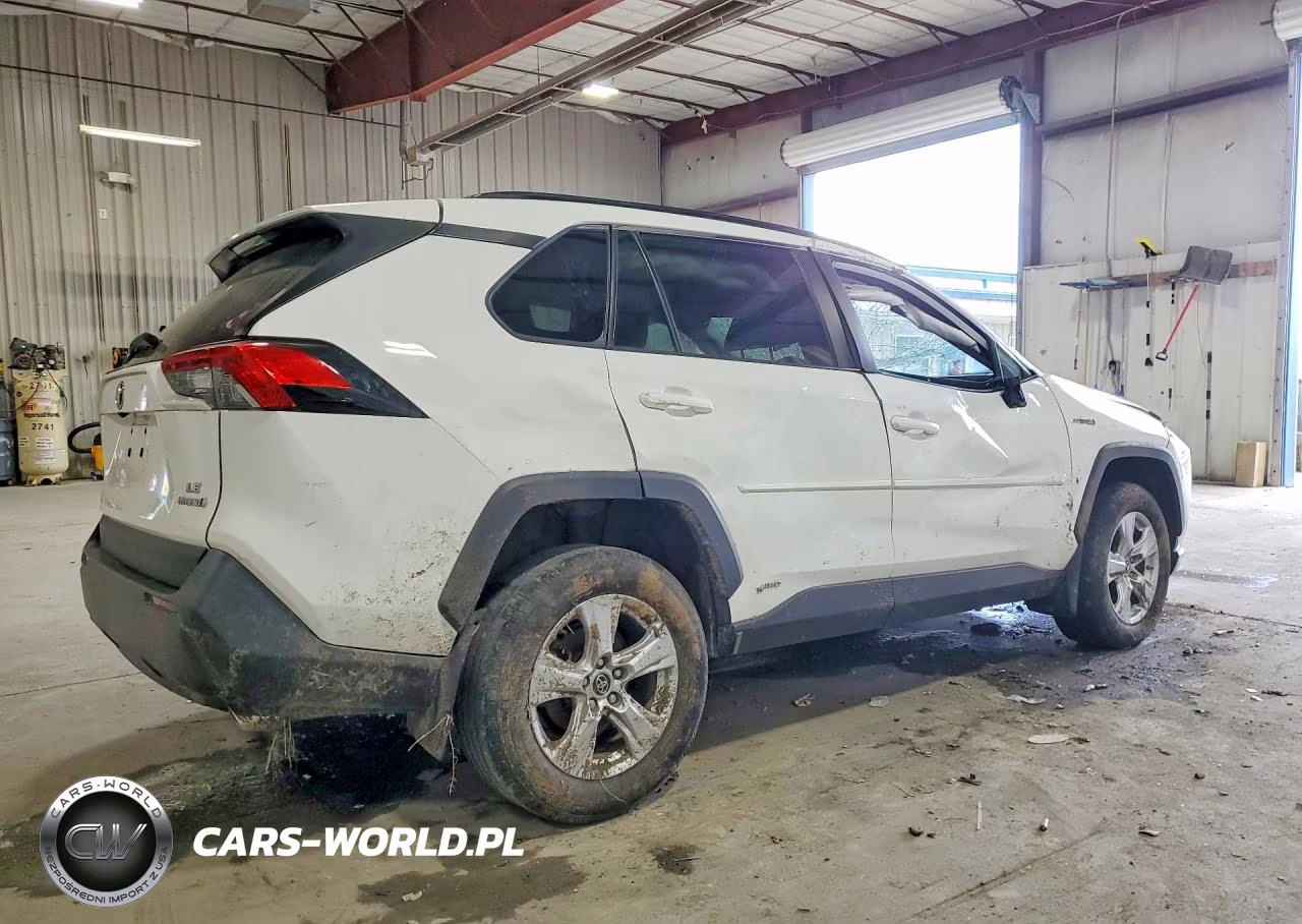 2019 Toyota Rav4 Le VIN:2T3MWRFV0KW029357 - 3