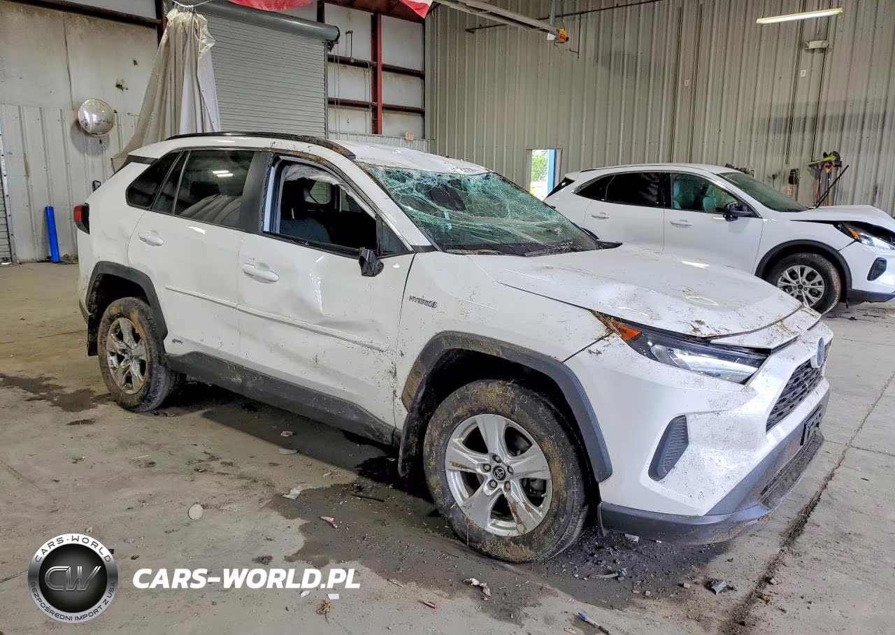 2019 Toyota Rav4 Le VIN:2T3MWRFV0KW029357 - 4