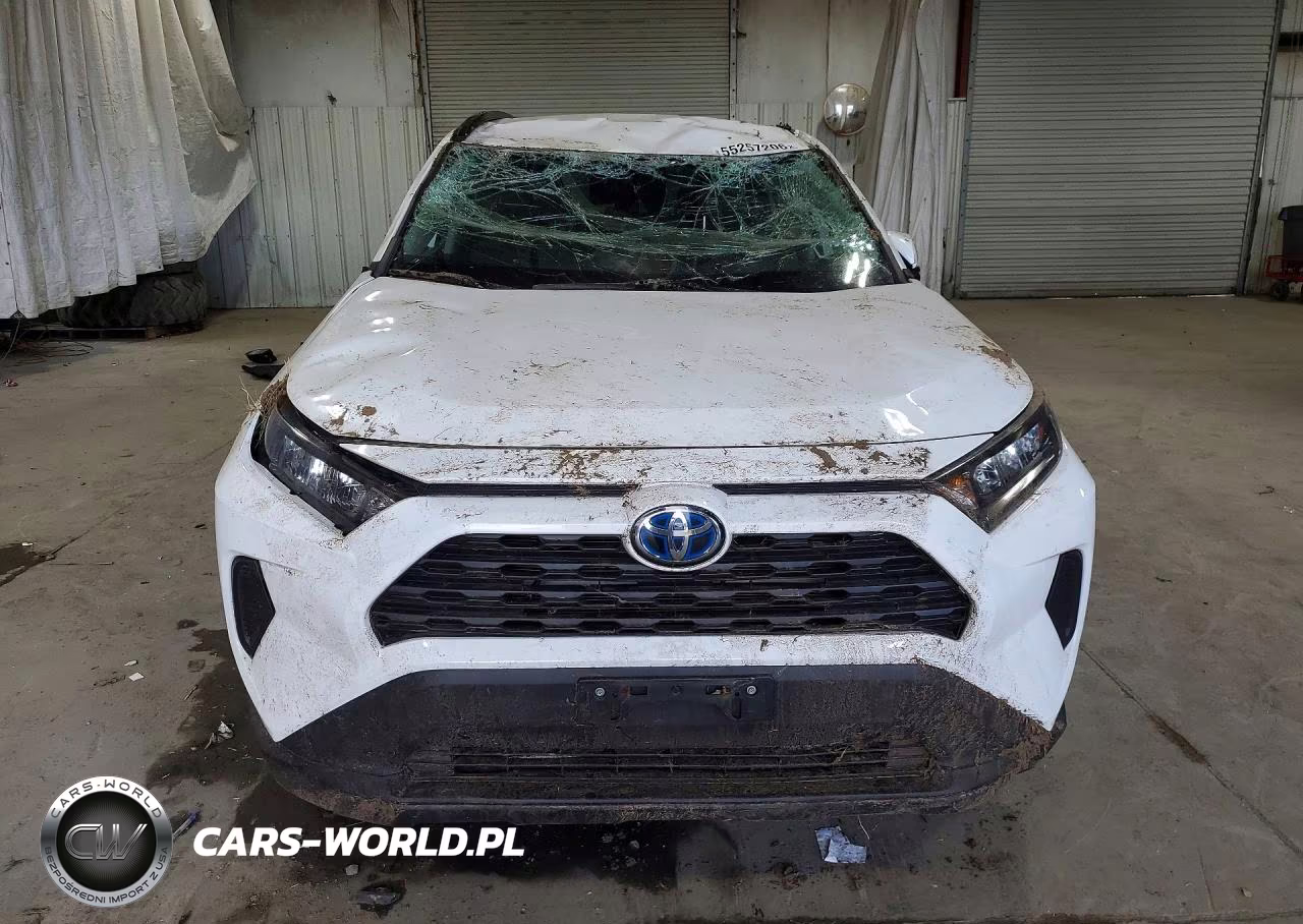 2019 Toyota Rav4 Le VIN:2T3MWRFV0KW029357 - 5