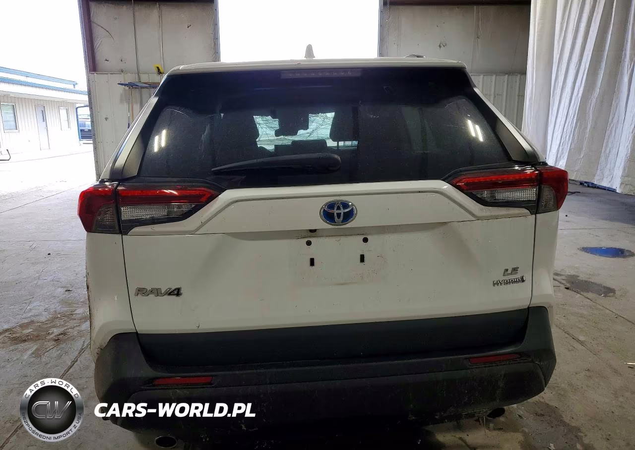 2019 Toyota Rav4 Le VIN:2T3MWRFV0KW029357 - 6