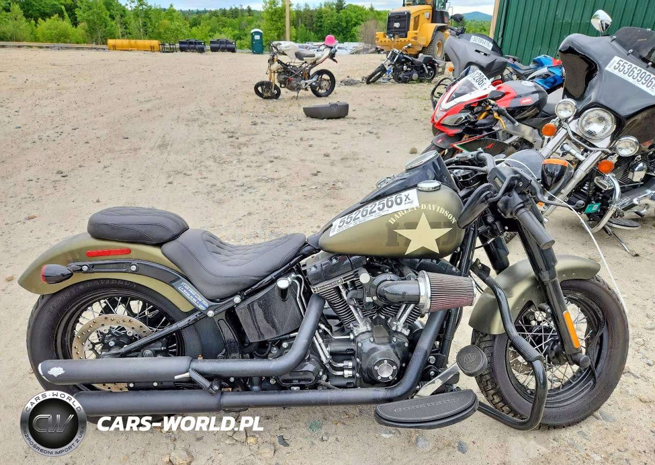 2017 Harley Davidson Flss