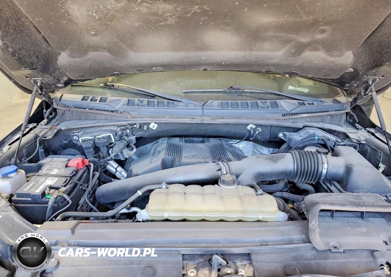 2019 Ford F150 Supercrew VIN:1FTEW1E4XKFC81746 - 11