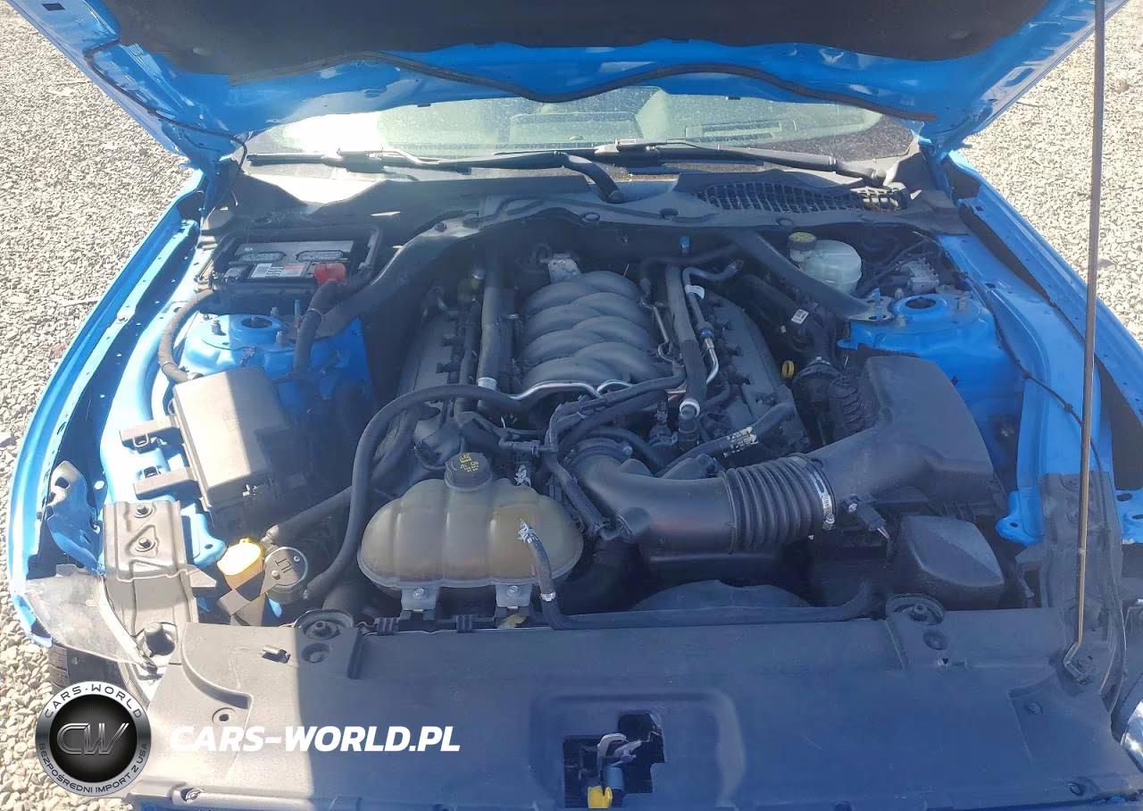 2017 Ford Mustang Gt VIN:1FA6P8CF5H5289031 - 11