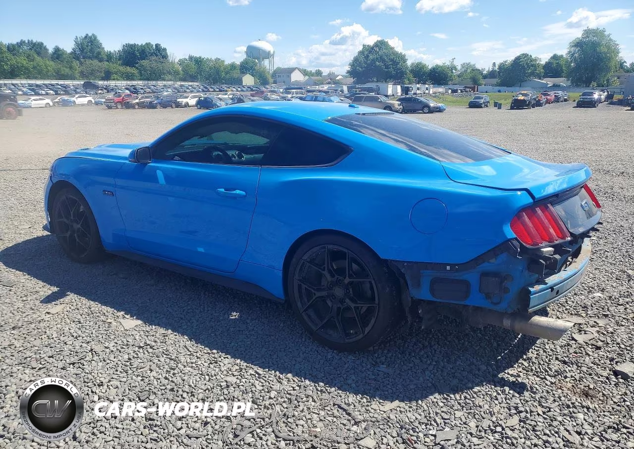 2017 Ford Mustang Gt VIN:1FA6P8CF5H5289031 - 2