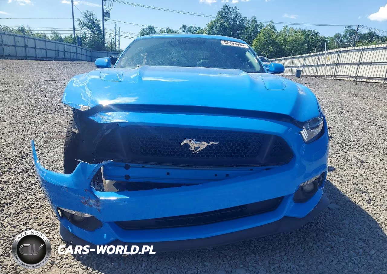 2017 Ford Mustang Gt VIN:1FA6P8CF5H5289031 - 5