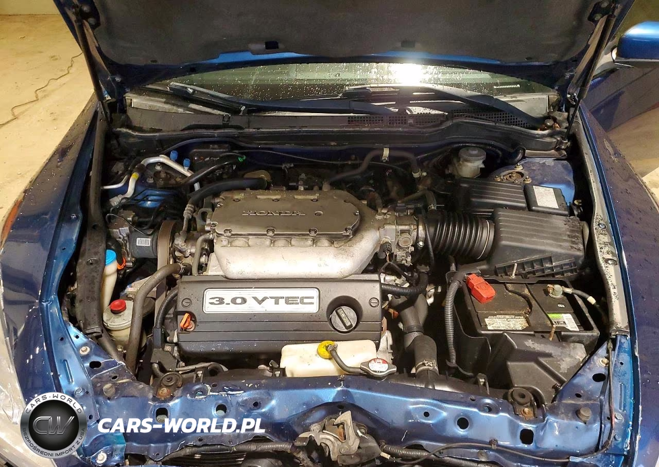 2004 Honda Accord Ex VIN:1HGCM82674A016621 - 11