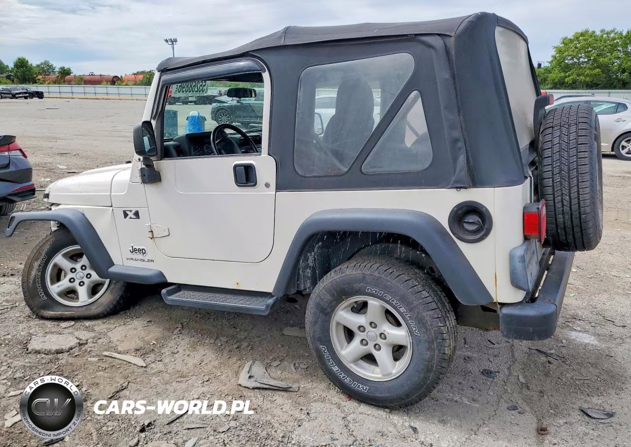 2003 Jeep Wrangler Commando VIN:1J4FA39SX3P368561 - 2