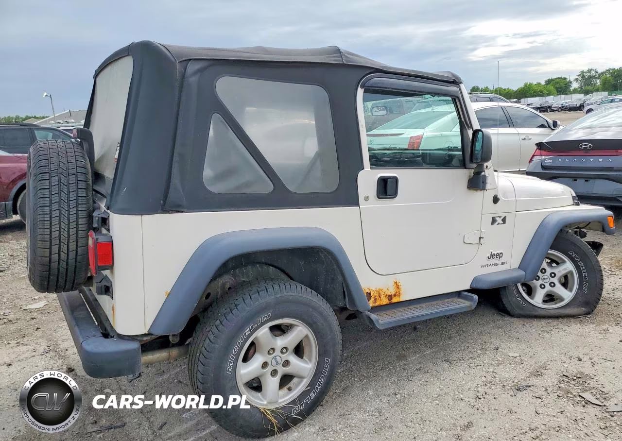 2003 Jeep Wrangler Commando VIN:1J4FA39SX3P368561 - 3