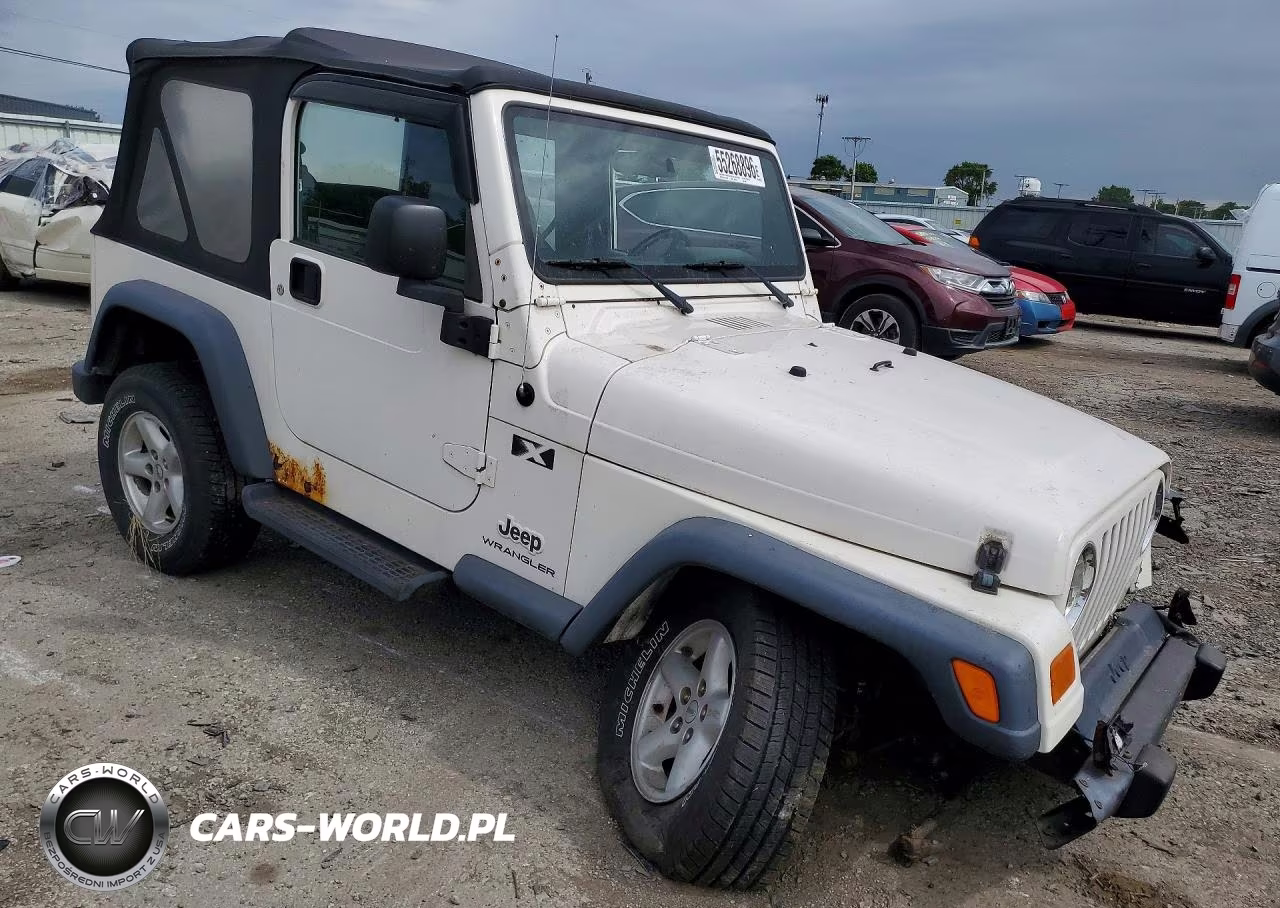 2003 Jeep Wrangler Commando VIN:1J4FA39SX3P368561 - 4
