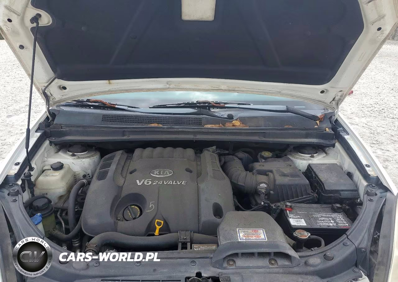 2007 Kia Rondo Lx VIN:KNAFG526177052725 - 11