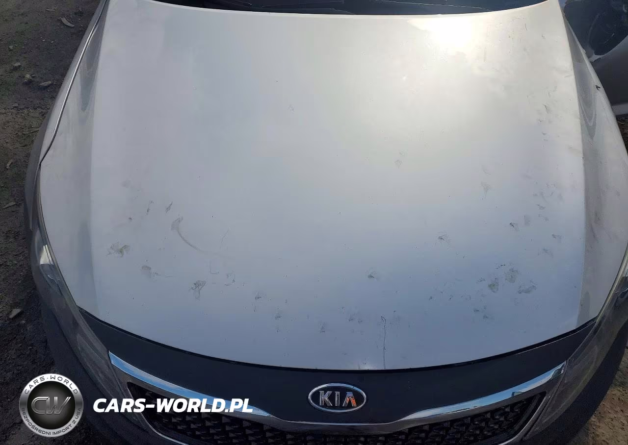 2012 Kia Optima Lx VIN:KNAGM4A78C5296573 - 11
