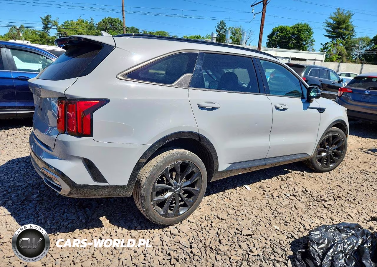 2023 Kia Sorento Sx VIN:5XYRK4LF8PG184729 - 3