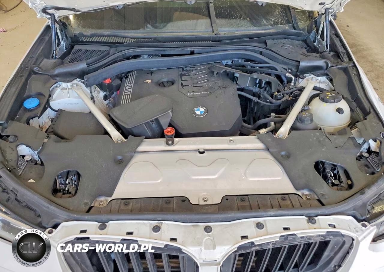 2023 BMW X3 xDrive30I VIN:5UX53DP02P9R81771 - 12