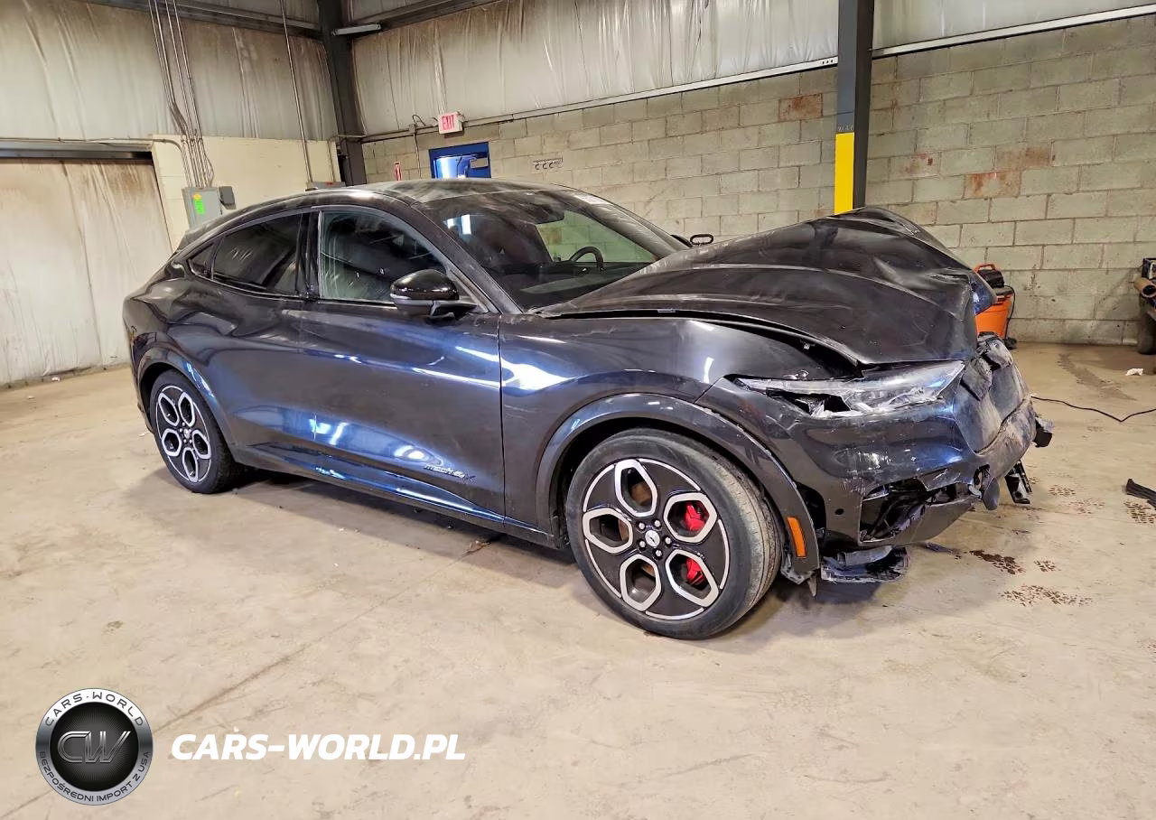 2022 Ford Mustang Mach-E Gt VIN:3FMTK4SE1NMA40501 - 4