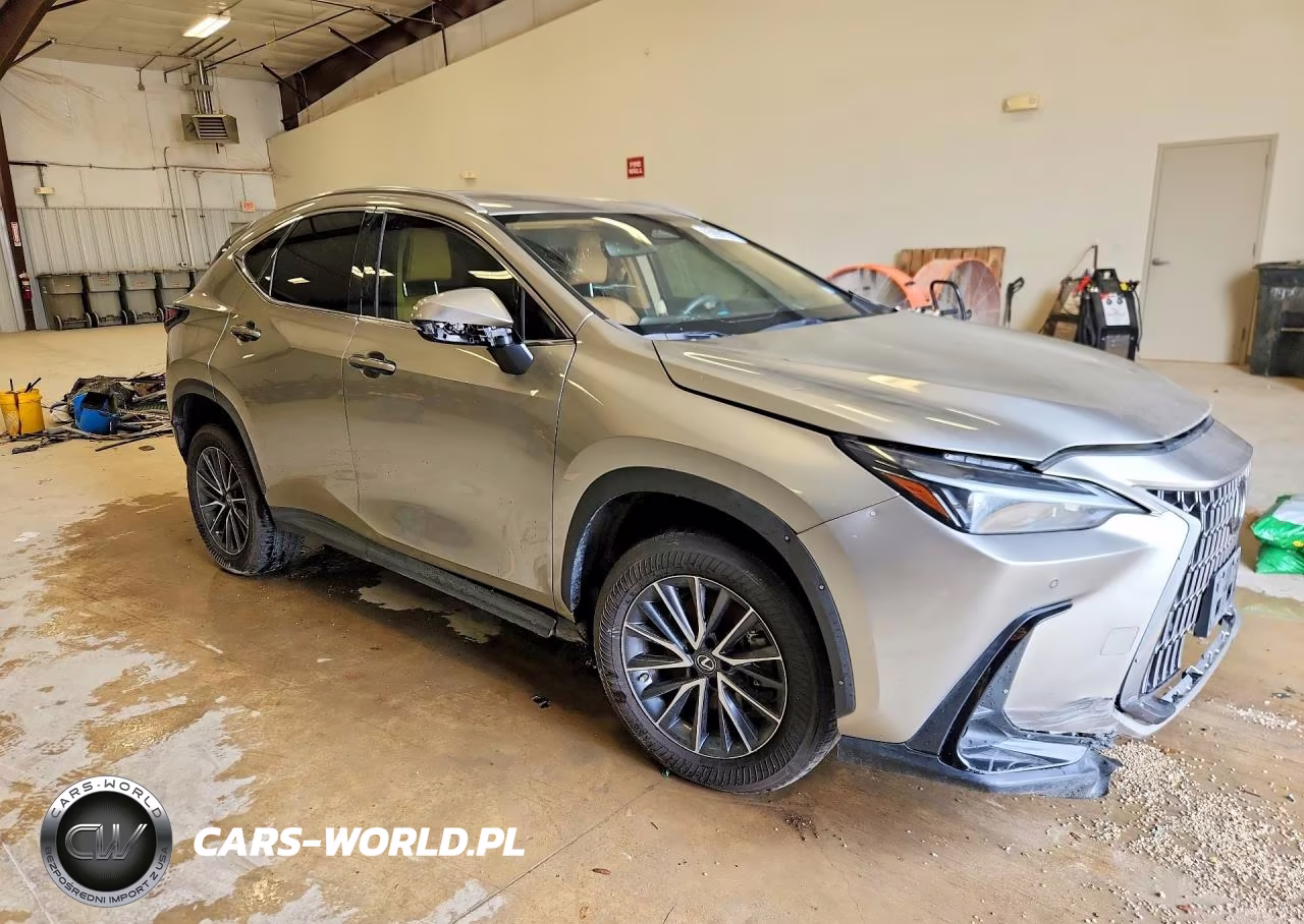 2023 Lexus Nx 350 VIN:2T2GGCEZ9PC026109 - 4