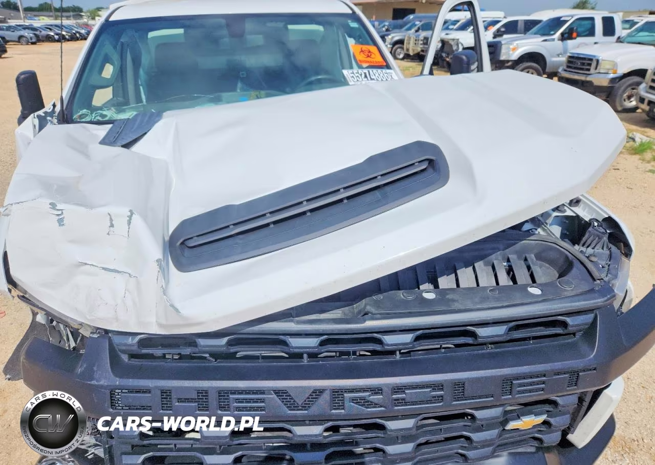 2022 Chevrolet Silverado C2500 Heavy Duty VIN:1GB0WLE75NF310109 - 11
