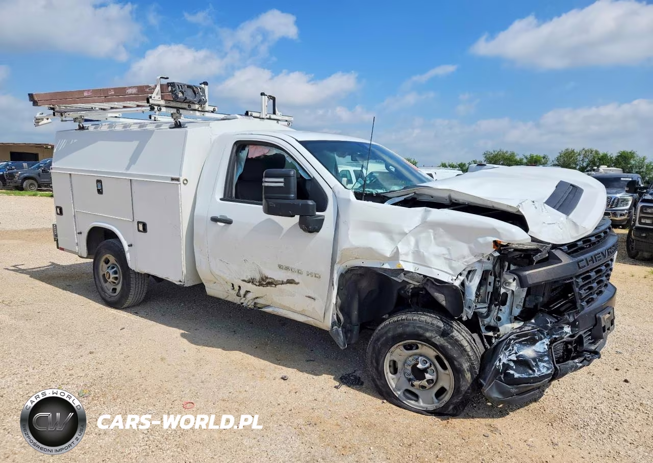 2022 Chevrolet Silverado C2500 Heavy Duty VIN:1GB0WLE75NF310109 - 4