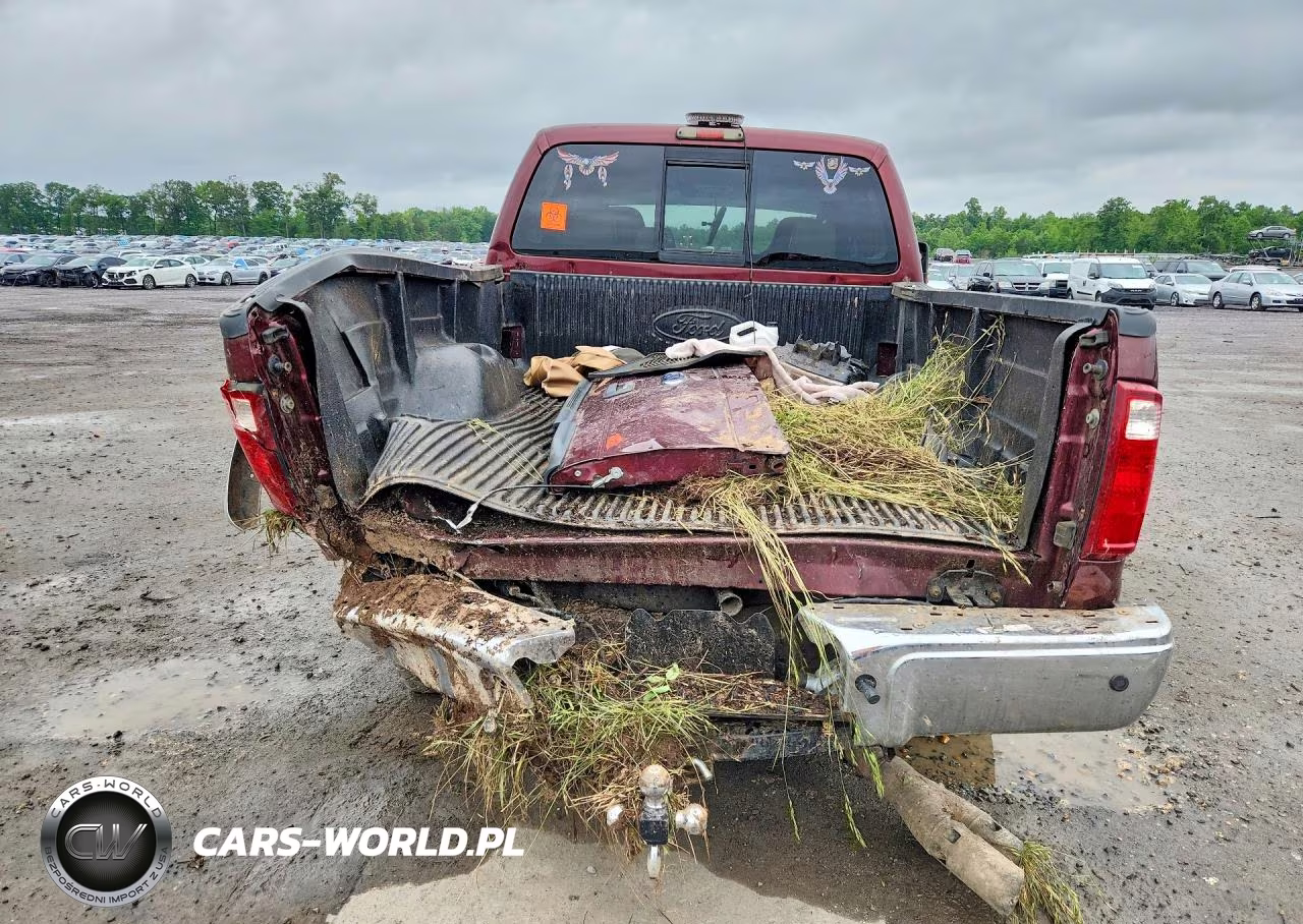 2009 Ford F250 Super Duty VIN:1FTSW21R79EA43959 - 6
