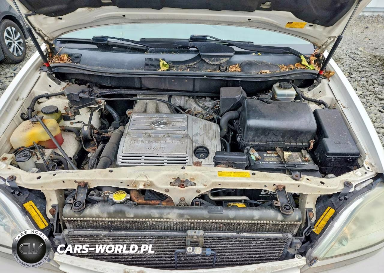 2002 Lexus Rx 300 VIN:JTJHF10U820282821 - 12