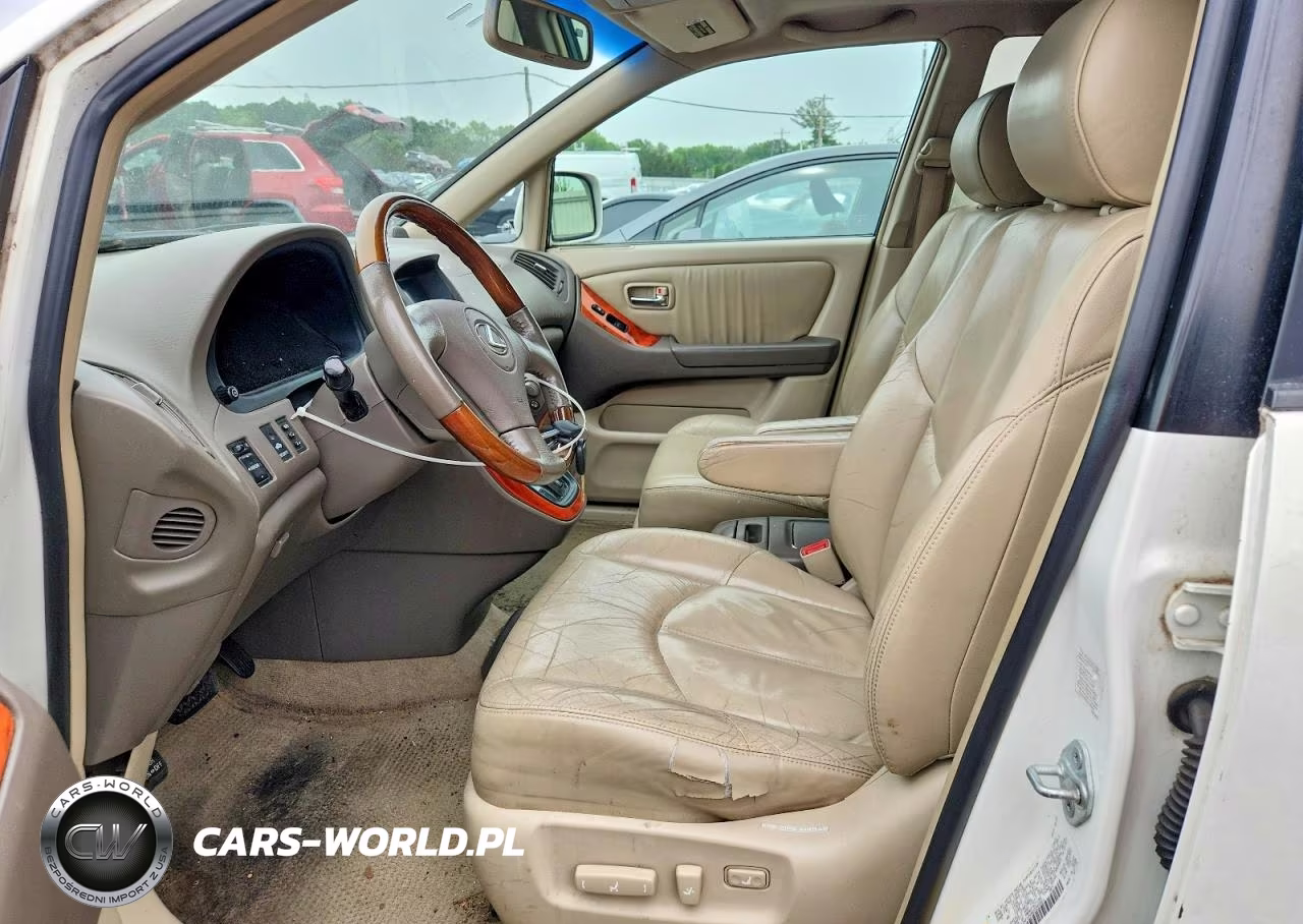 2002 Lexus Rx 300 VIN:JTJHF10U820282821 - 7